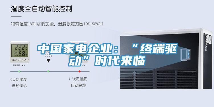 中國家電企業(yè)：“終端驅(qū)動”時代來臨