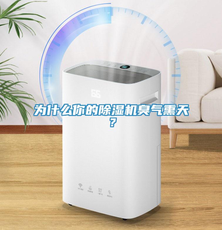 為什么你的除濕機(jī)臭氣熏天？