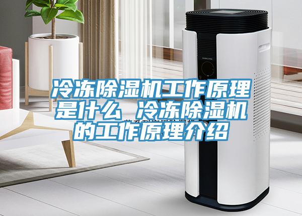 冷凍除濕機工作原理是什么 冷凍除濕機的工作原理介紹