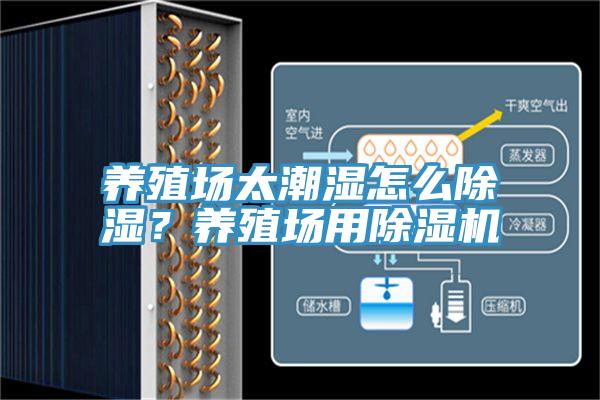 養(yǎng)殖場(chǎng)太潮濕怎么除濕？養(yǎng)殖場(chǎng)用除濕機(jī)