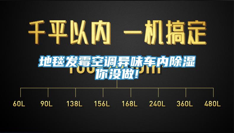 地毯發(fā)霉空調(diào)異味車內(nèi)除濕你沒做!