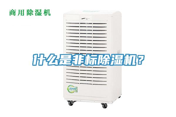 什么是非標除濕機？