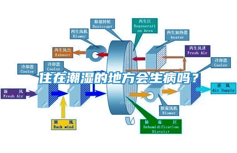 住在潮濕的地方會(huì)生病嗎？