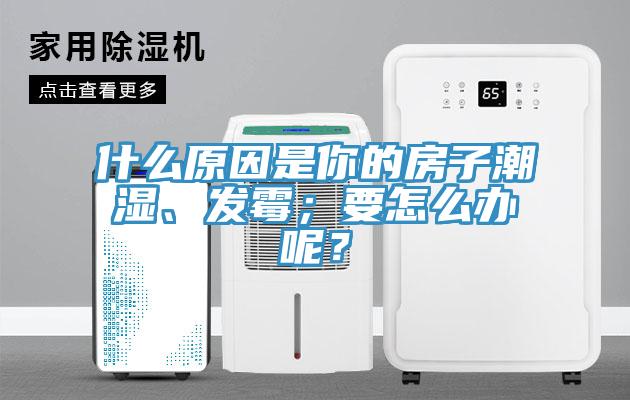 什么原因是你的房子潮濕、發(fā)霉；要怎么辦呢？