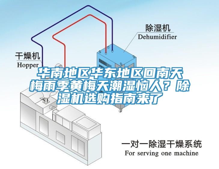 華南地區(qū)華東地區(qū)回南天梅雨季黃梅天潮濕惱人？除濕機(jī)選購(gòu)指南來(lái)了