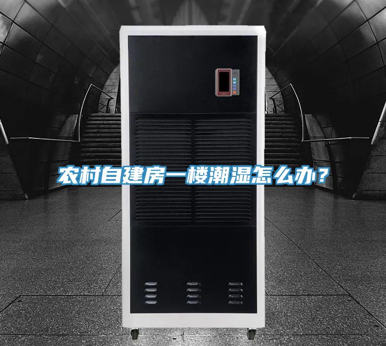 農村自建房一樓潮濕怎么辦？