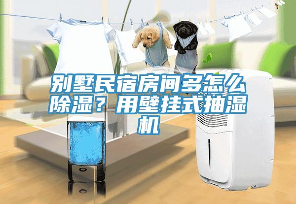 別墅民宿房間多怎么除濕？用壁掛式抽濕機(jī)