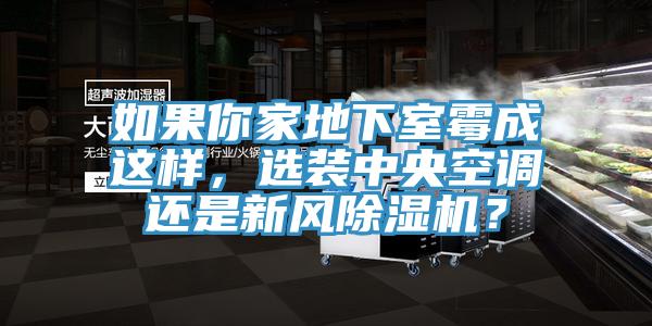 如果你家地下室霉成這樣，選裝中央空調還是新風除濕機？