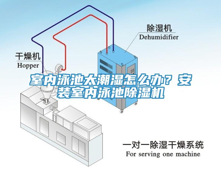 室內(nèi)泳池太潮濕怎么辦？安裝室內(nèi)泳池除濕機(jī)