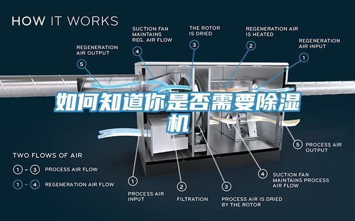 如何知道你是否需要除濕機(jī)