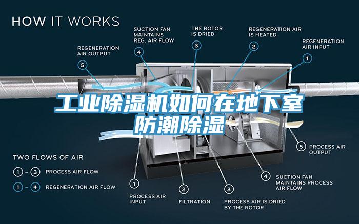 工業(yè)除濕機如何在地下室防潮除濕