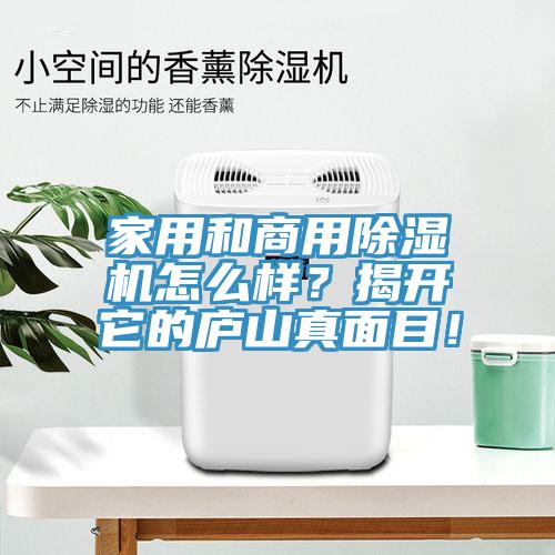 家用和商用除濕機(jī)怎么樣？揭開它的廬山真面目！