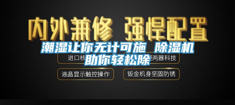 潮濕讓你無計可施 除濕機助你輕松除