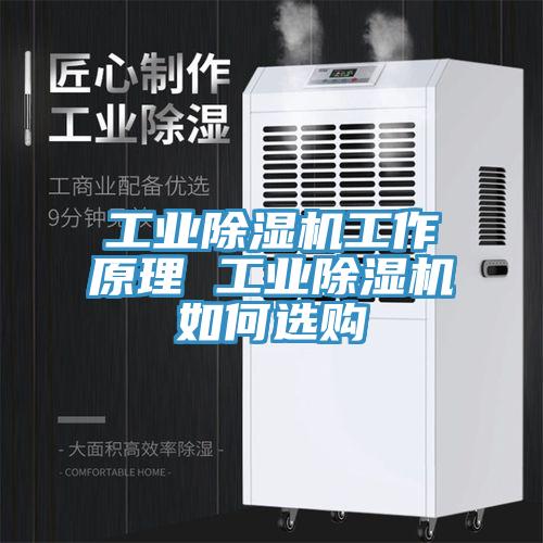 工業(yè)除濕機(jī)工作原理 工業(yè)除濕機(jī)如何選購(gòu)