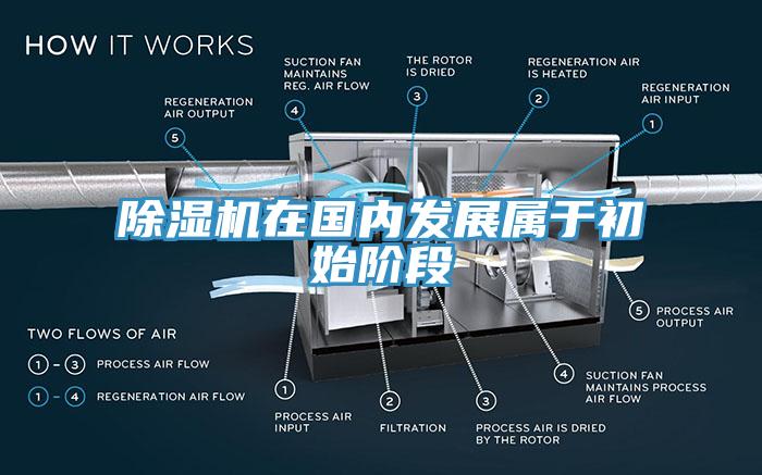 除濕機在國內(nèi)發(fā)展屬于初始階段