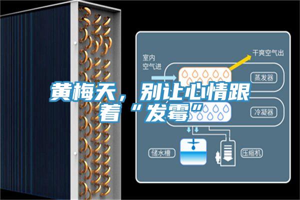 黃梅天，別讓心情跟著“發(fā)霉”