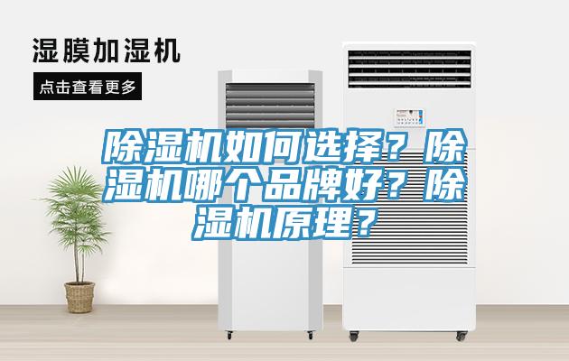 除濕機如何選擇？除濕機哪個品牌好？除濕機原理？