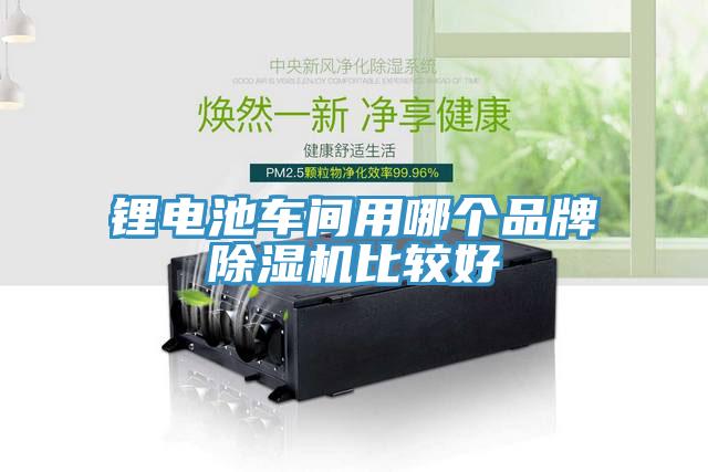 鋰電池車(chē)間用哪個(gè)品牌除濕機(jī)比較好