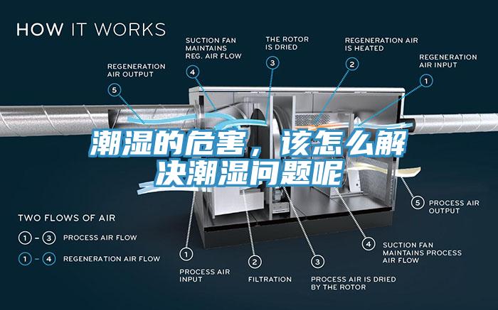 潮濕的危害，該怎么解決潮濕問題呢