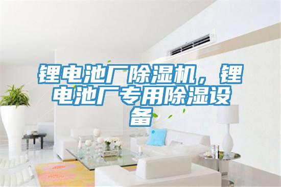 鋰電池廠(chǎng)除濕機(jī)，鋰電池廠(chǎng)專(zhuān)用除濕設(shè)備