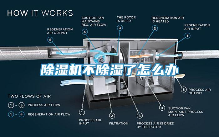 除濕機不除濕了怎么辦