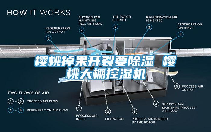 櫻桃掉果開裂要除濕 櫻桃大棚控濕機(jī)