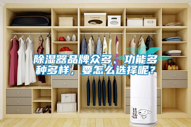 除濕器品牌眾多、功能多種多樣，要怎么選擇呢？