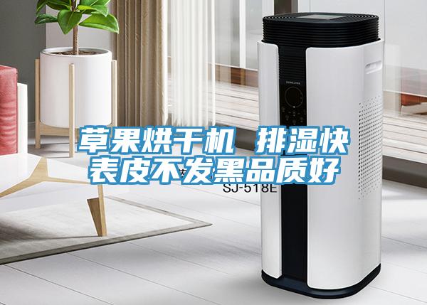 草果烘干機(jī) 排濕快表皮不發(fā)黑品質(zhì)好