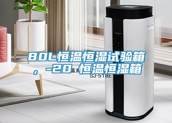 80L恒溫恒濕試驗(yàn)箱，-20℃恒溫恒濕箱