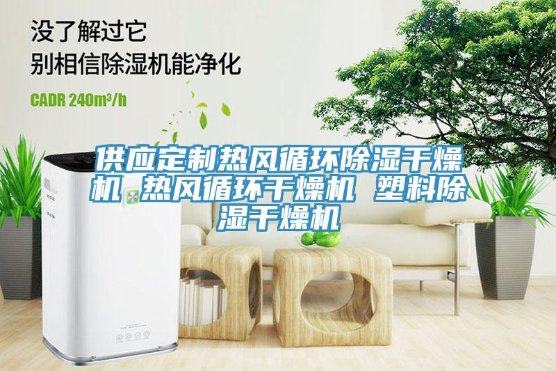 供應(yīng)定制熱風(fēng)循環(huán)除濕干燥機 熱風(fēng)循環(huán)干燥機 塑料除濕干燥機