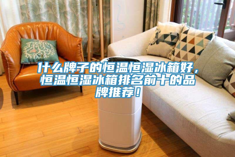 什么牌子的恒溫恒濕冰箱好，恒溫恒濕冰箱排名前十的品牌推薦！