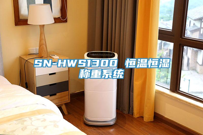 SN-HWS1300 恒溫恒濕稱重系統(tǒng)