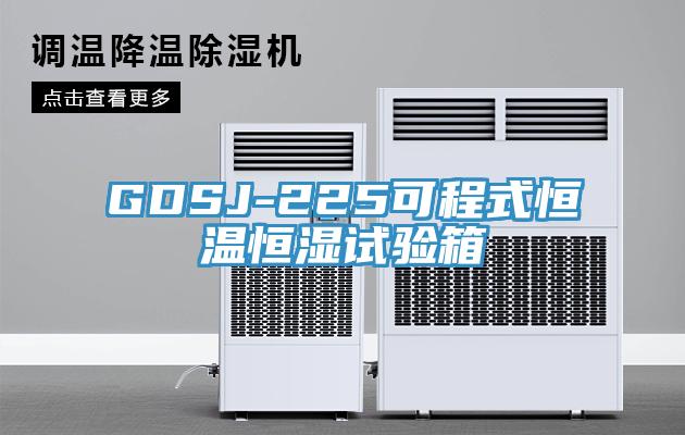 GDSJ-225可程式恒溫恒濕試驗(yàn)箱