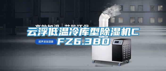 云浮低溫冷庫型除濕機CFZ6.3BD