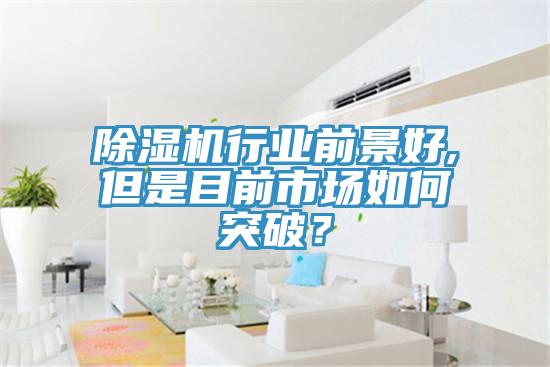 除濕機行業(yè)前景好,但是目前市場如何突破？