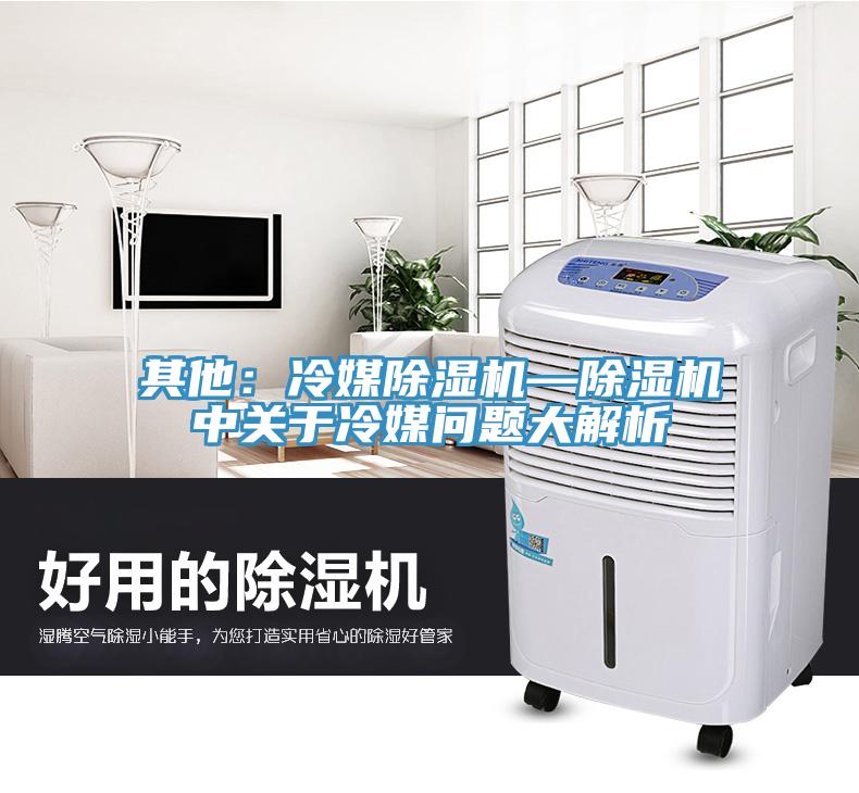 其他：冷媒除濕機(jī)—除濕機(jī)中關(guān)于冷媒問題大解析