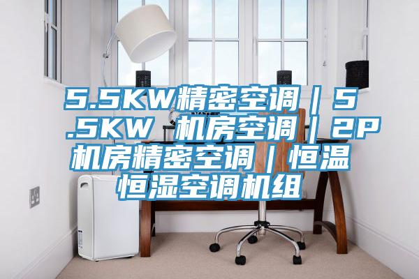 5.5KW精密空調(diào)｜5.5KW 機(jī)房空調(diào)｜2P機(jī)房精密空調(diào)｜恒溫恒濕空調(diào)機(jī)組