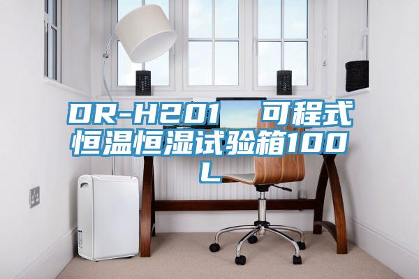 DR-H201  可程式恒溫恒濕試驗(yàn)箱100L