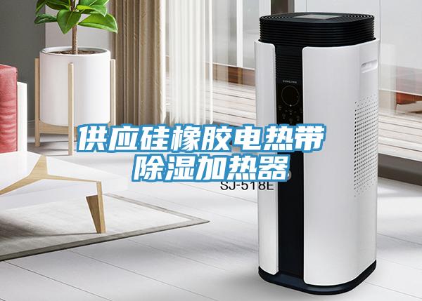 供應(yīng)硅橡膠電熱帶 除濕加熱器