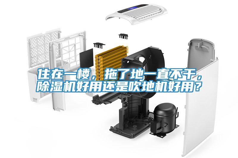 住在一樓，拖了地一直不干，除濕機(jī)好用還是吹地機(jī)好用？