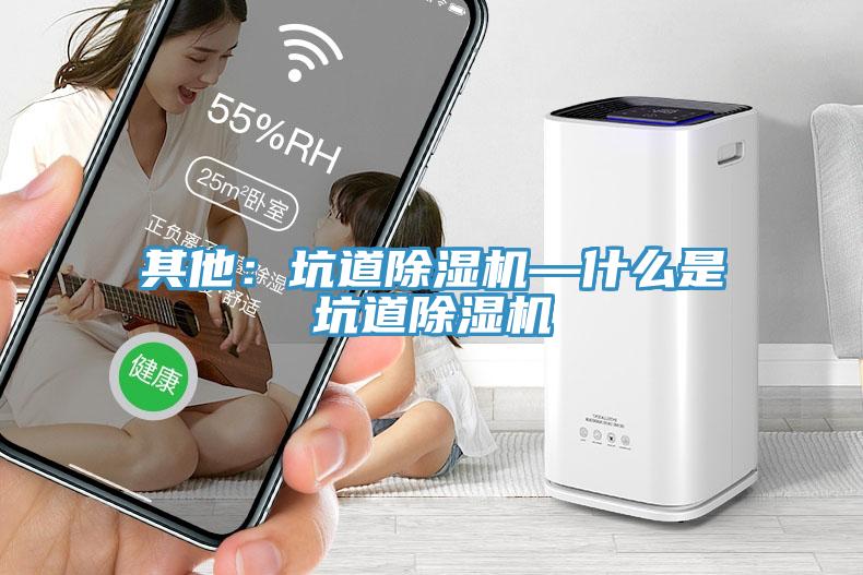 其他：坑道除濕機(jī)—什么是坑道除濕機(jī)