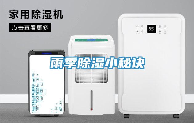 雨季除濕小秘訣
