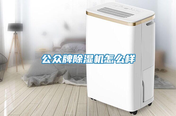 公眾牌除濕機(jī)怎么樣