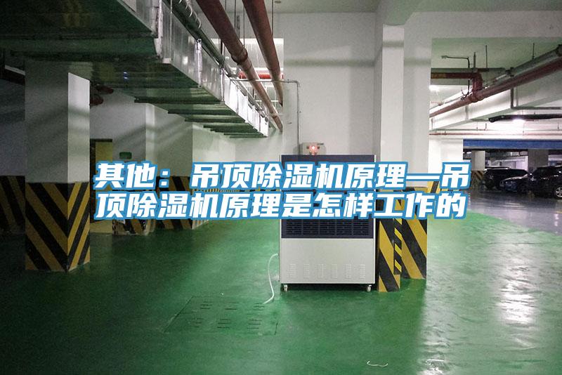 其他：吊頂除濕機(jī)原理—吊頂除濕機(jī)原理是怎樣工作的