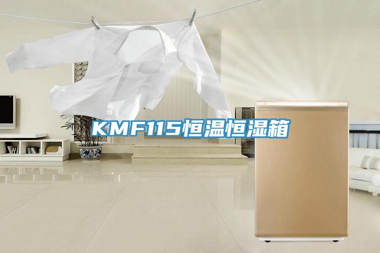 KMF115恒溫恒濕箱