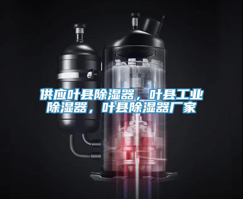 供應(yīng)葉縣除濕器，葉縣工業(yè)除濕器，葉縣除濕器廠家