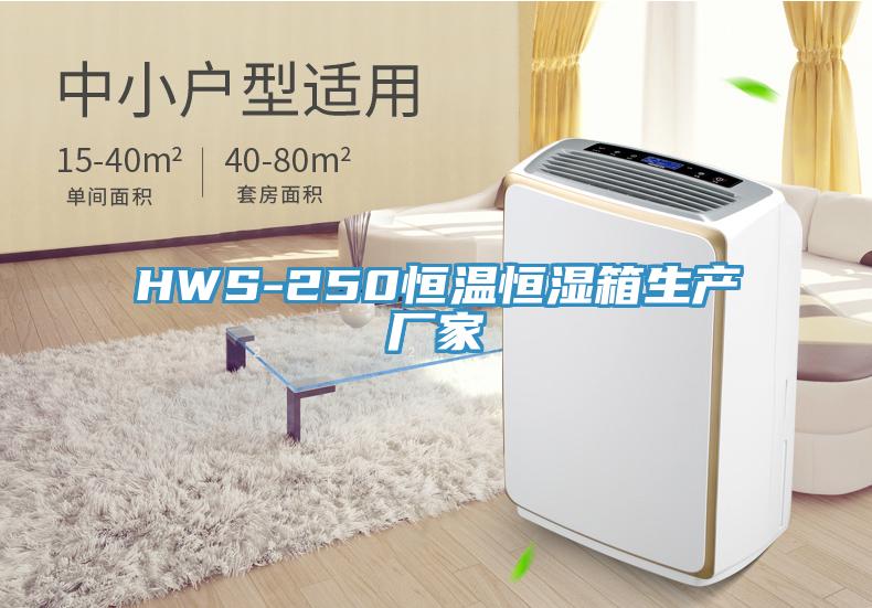 HWS-250恒溫恒濕箱生產(chǎn)廠家