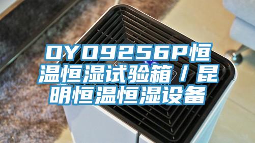 OYO9256P恒溫恒濕試驗(yàn)箱／昆明恒溫恒濕設(shè)備