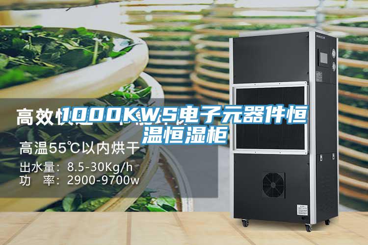 1000KWS電子元器件恒溫恒濕柜