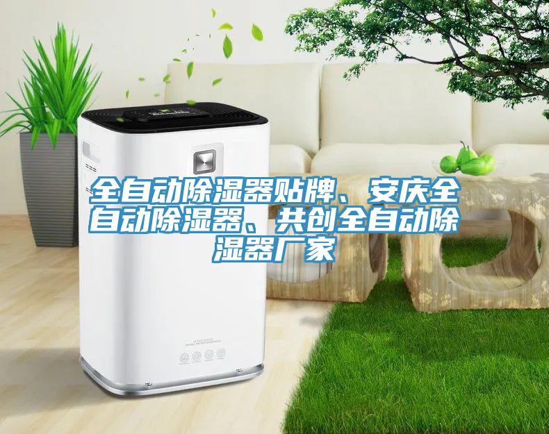 全自動(dòng)除濕器貼牌、安慶全自動(dòng)除濕器、共創(chuàng)全自動(dòng)除濕器廠家